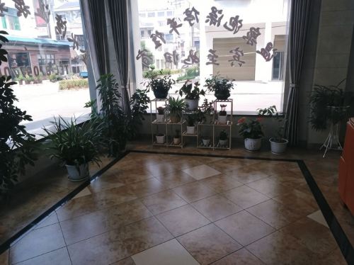 Gallery 3