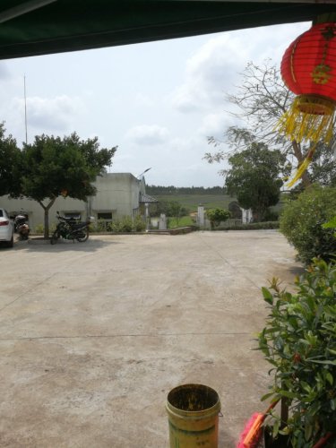 茗上茗茶文化休闲旅游区(茶家乐)旅行图片 2