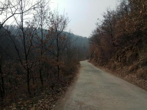 龙神洞旅行图片 1
