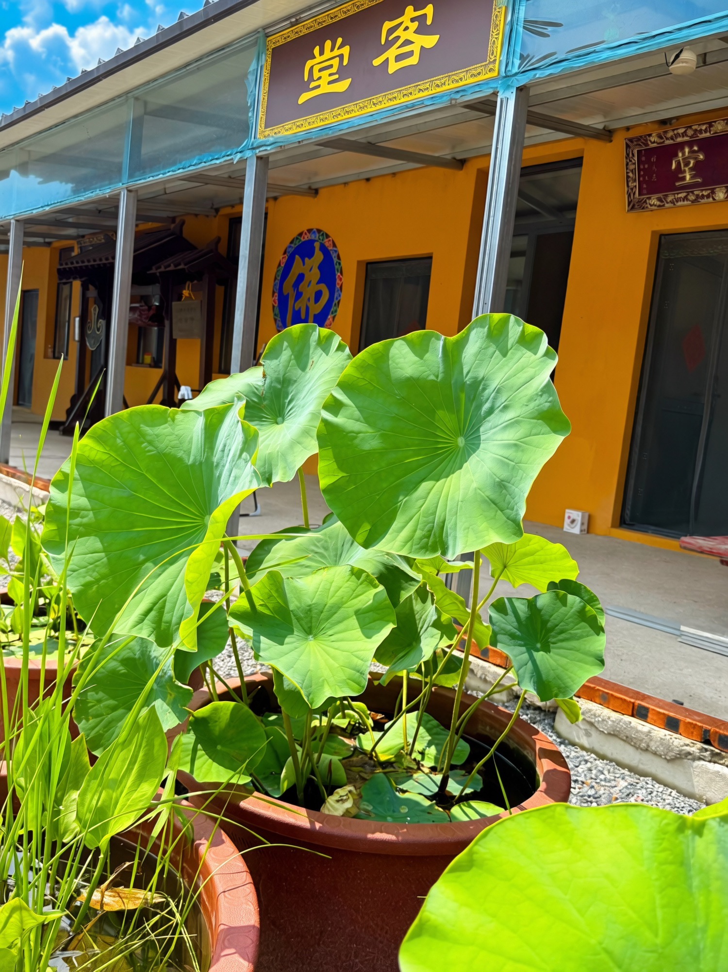 海城市腾鳌地藏寺实景照片