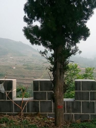 圣母山旅行图片 3