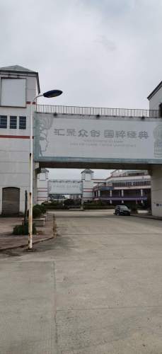 上海世界非遗文化城旅行图片 3