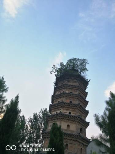 郑公塔旅行图片 2