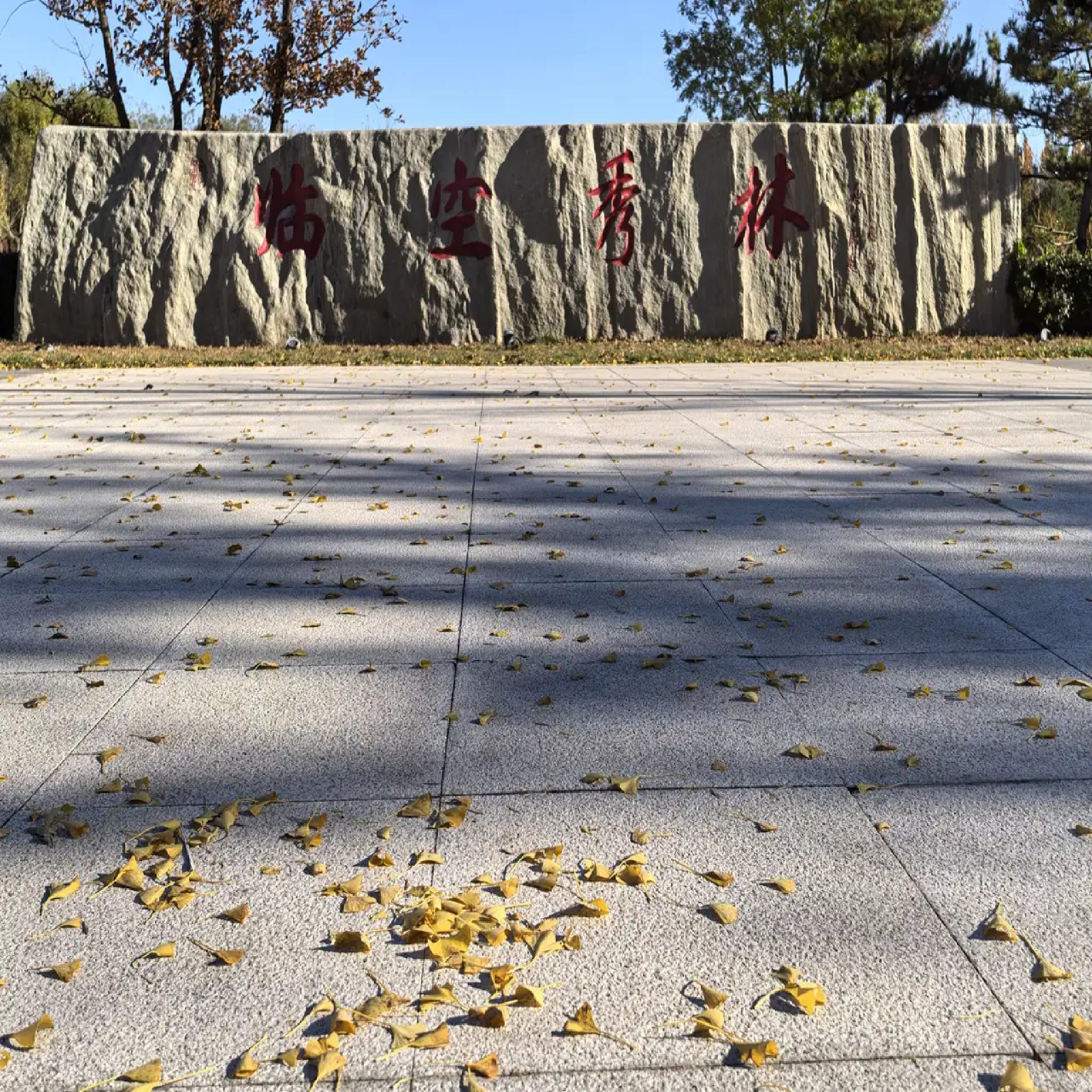 廊坊临空公园