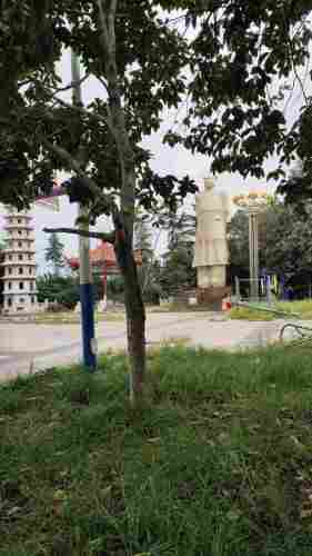 东村公园旅行图片 1