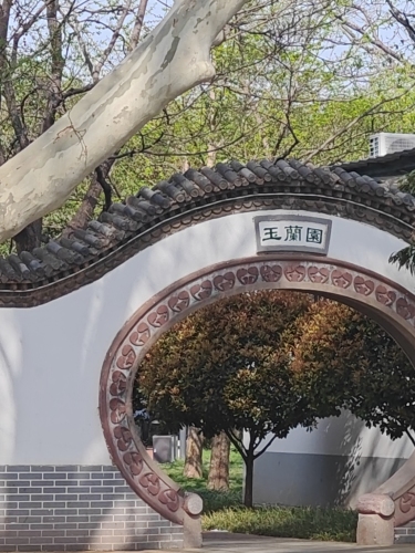 丛台公园-玉兰园