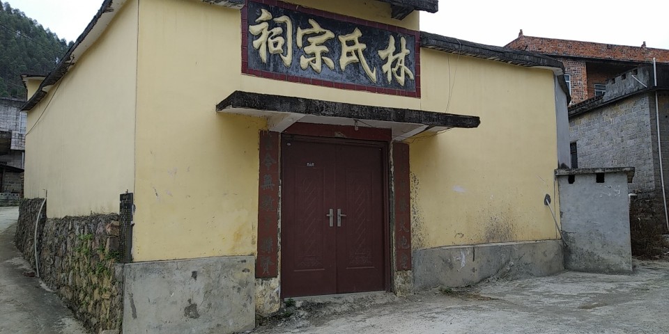 林氏宗祠实景照片