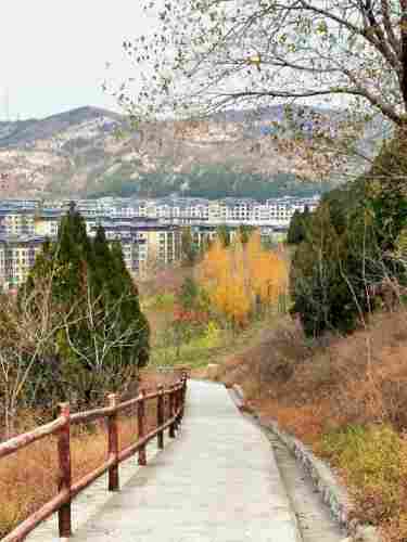 云平公园旅行图片 3
