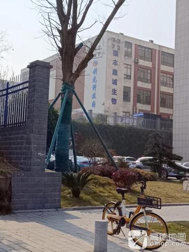 创元科技园实景图