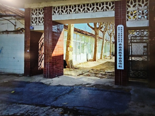 济南市高新开发区孙村二组集体经济农业农民专业合作社实景图
