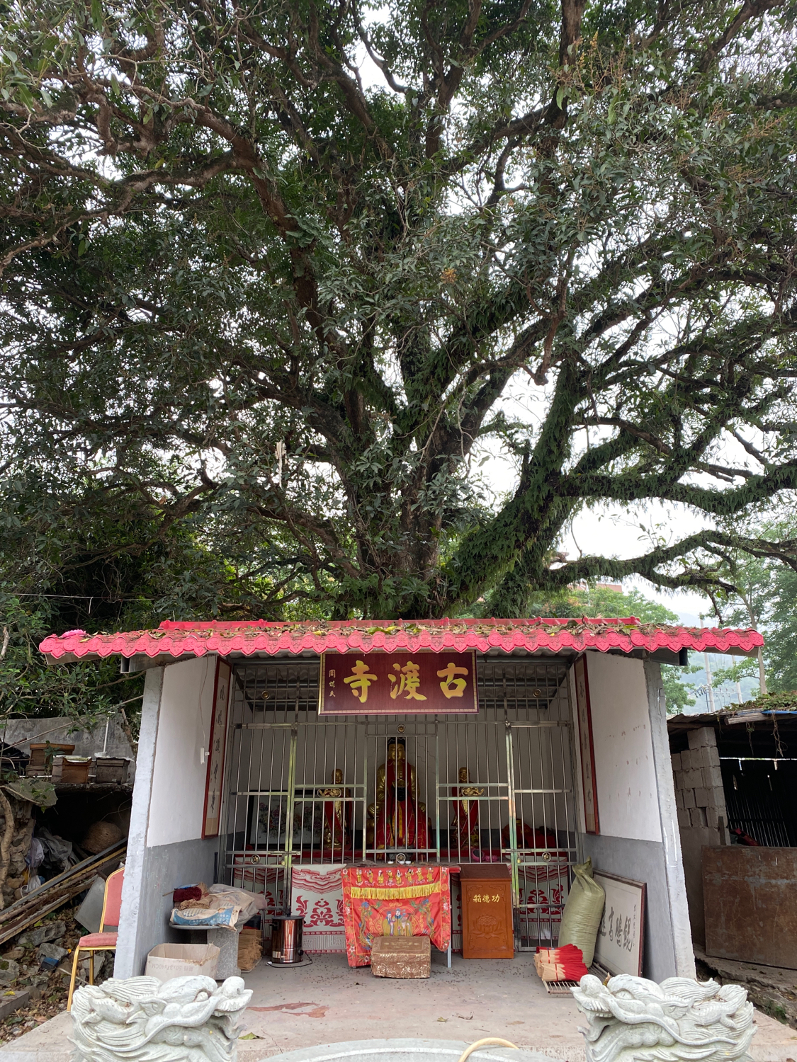 安溪魁美古渡寺实景照片