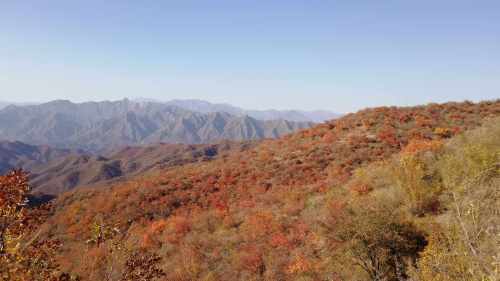 西达摩自然风景区旅行图片 1