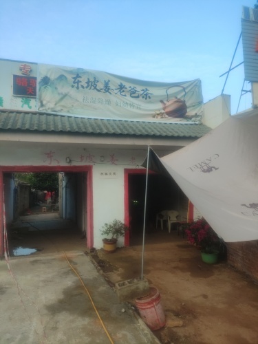 东坡姜老爸茶