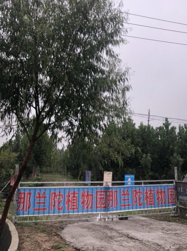 那兰陀植物园旅行图片 1