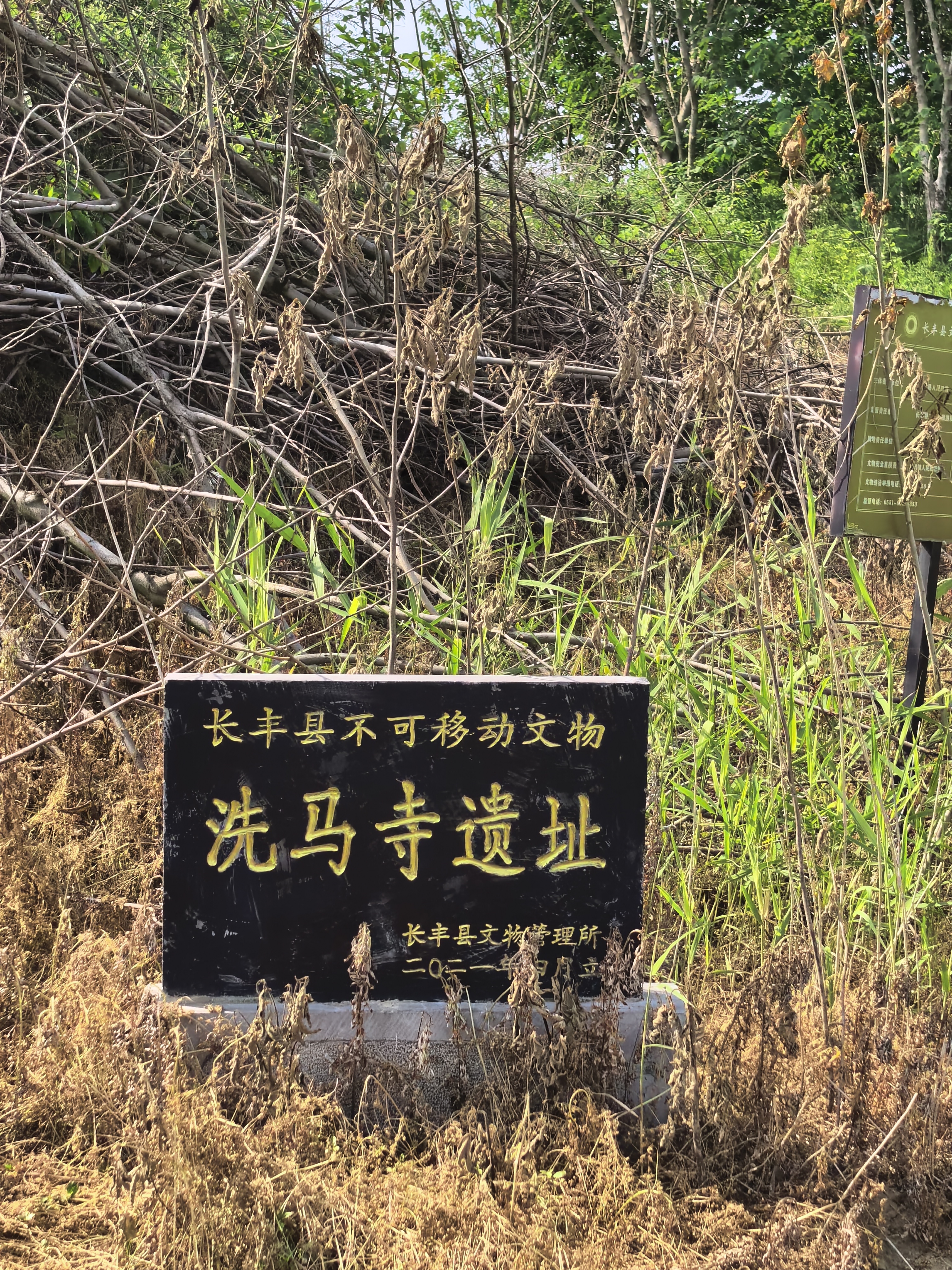 洗马寺遗址实景照片