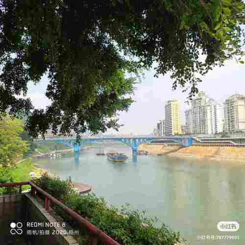 梧州鸳江春泛旅行图片 3