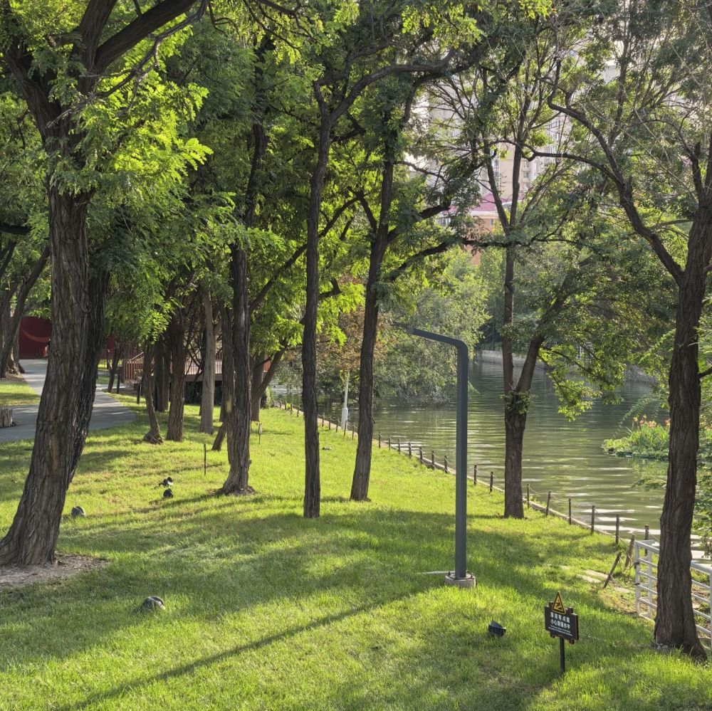 津一 PARK景点图片