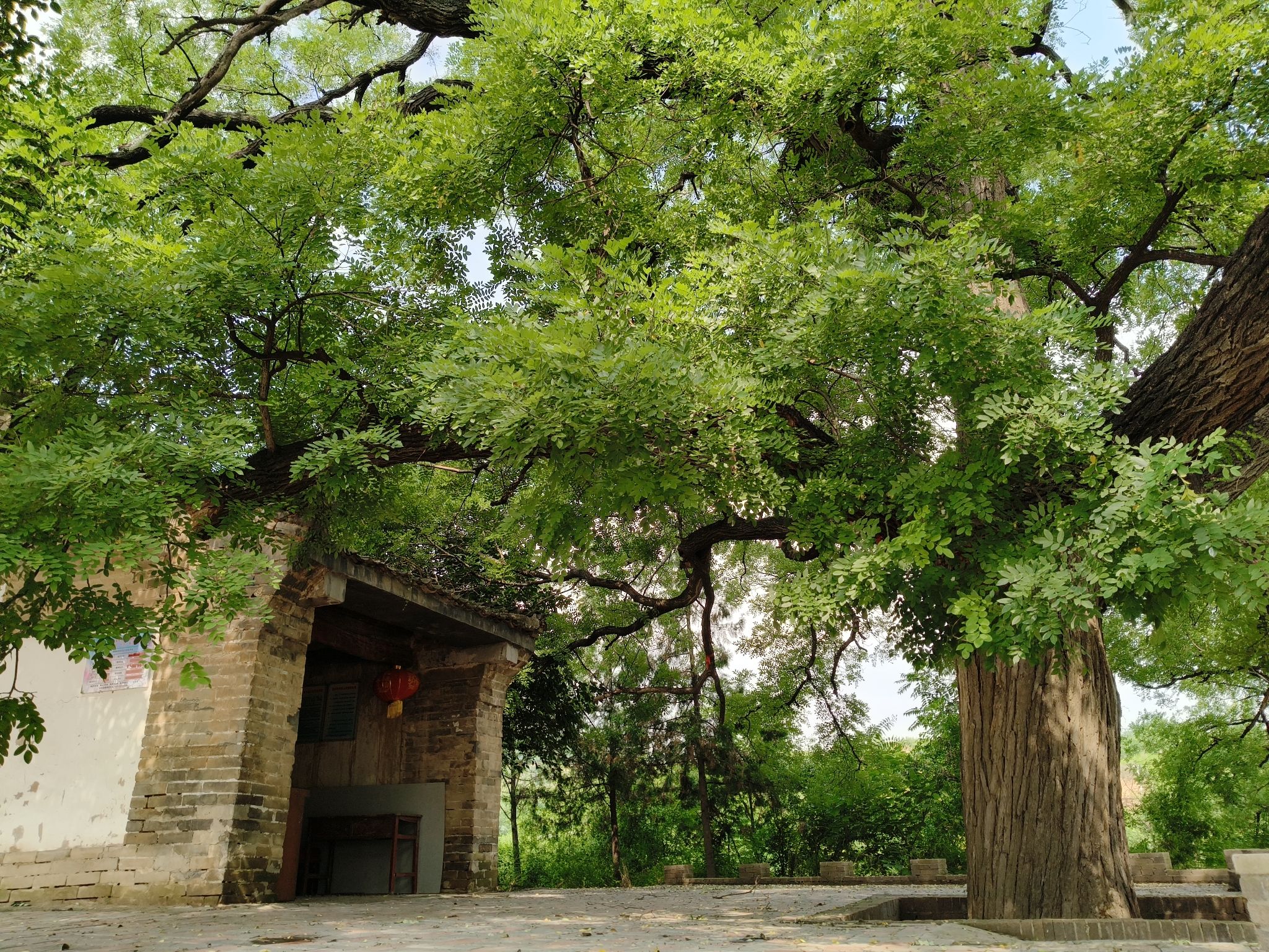 三原县嵯峨镇屈家村关帝庙实景照片