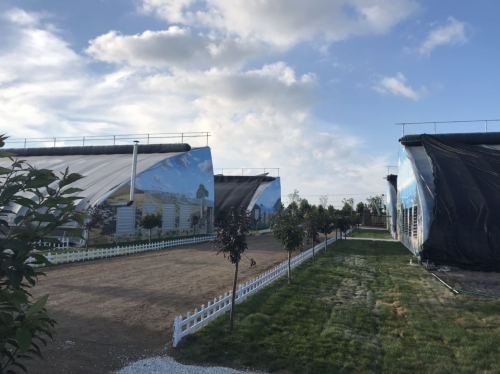 青岛百亿绿洲多肉植物园旅行图片 3