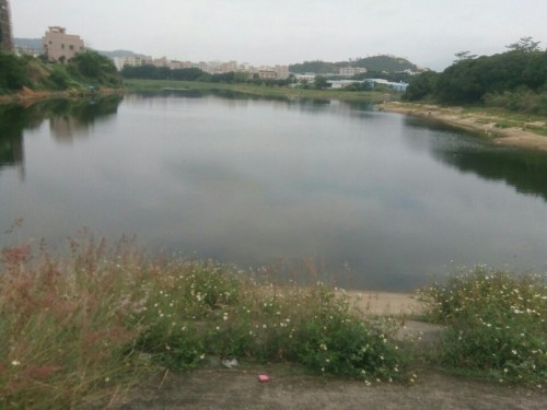 梅湖大坝旅行图片 3