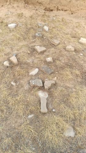 梵王寺墓群旅行图片 1
