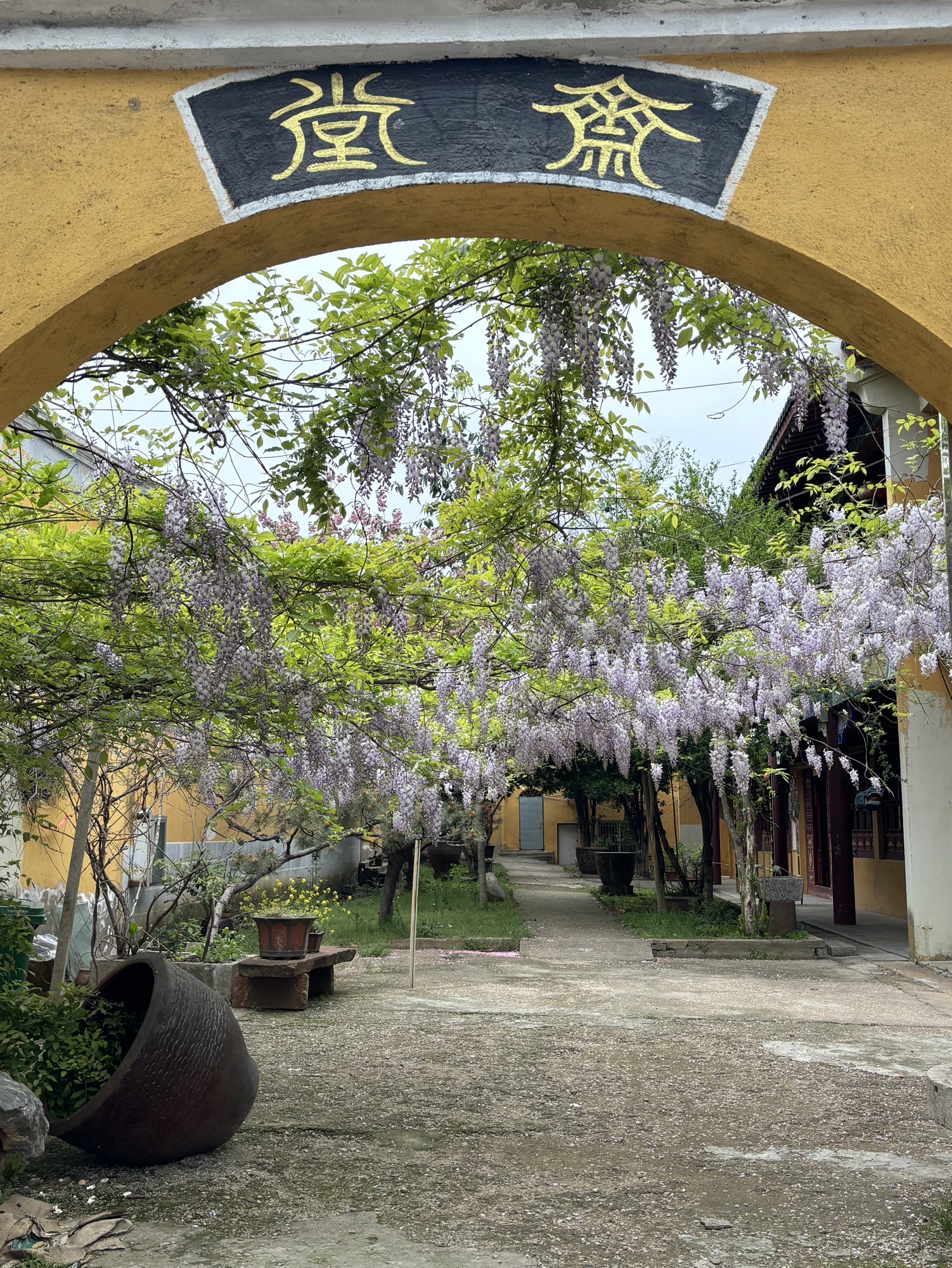 金泉禅寺实景照片