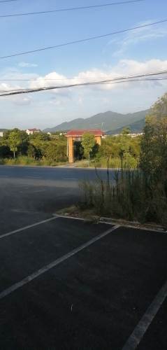 湖心公园旅行图片 1