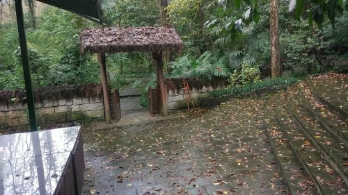 杭州西湖风景名胜区-方圆庵