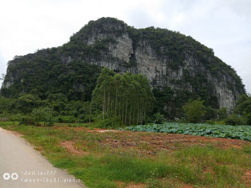 霞客古渡旅行图片 2