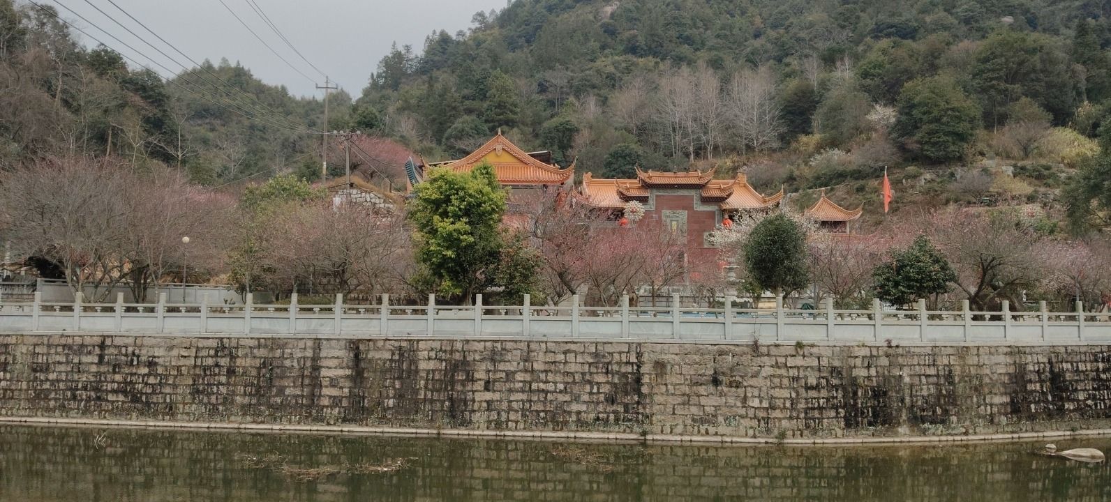 张圣真君堂实景照片