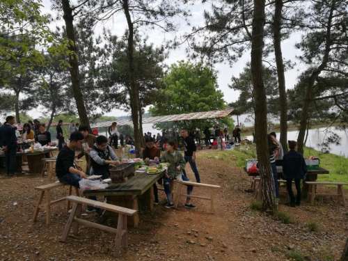 福容薰衣草花园旅行图片 1