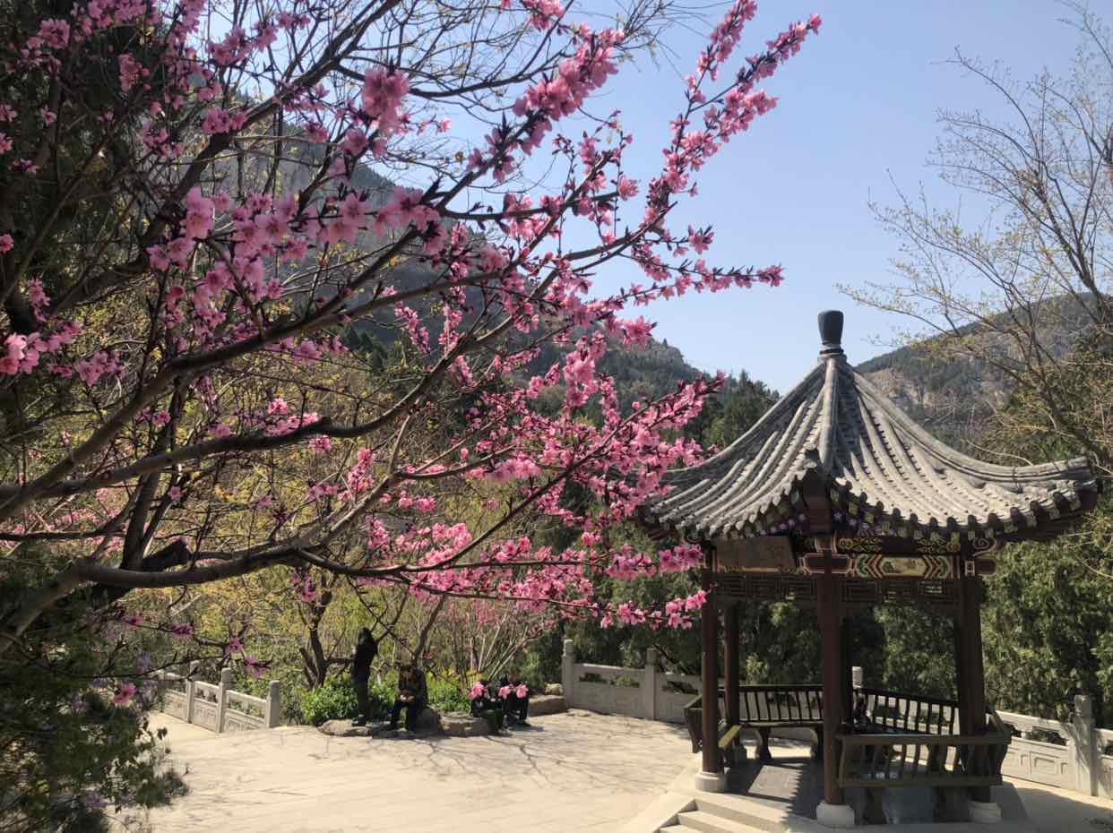 开元寺实景照片