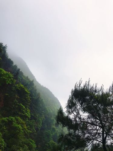 芙蓉山森林公园旅行图片 1