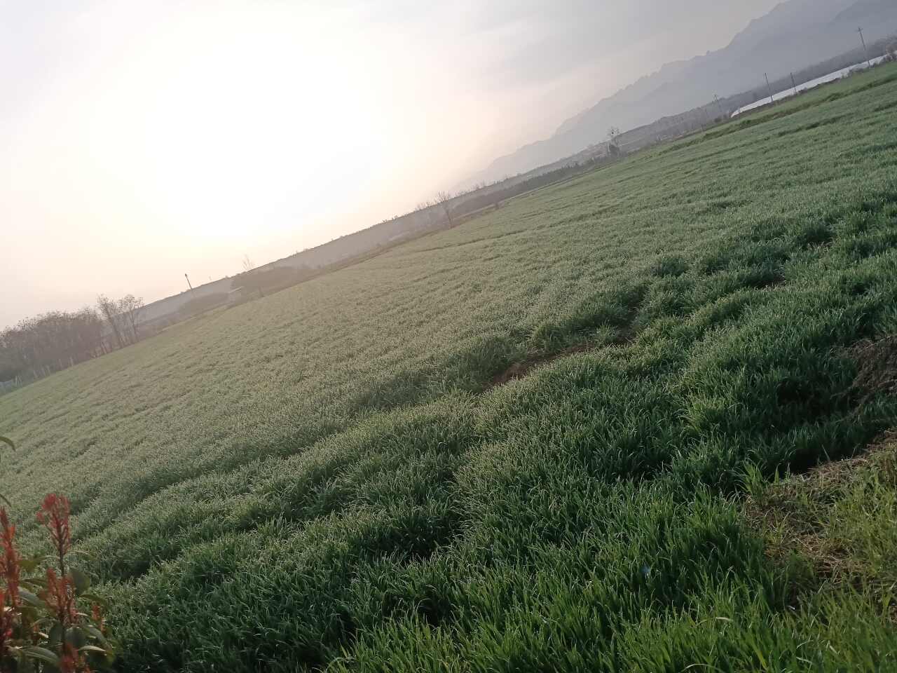 上药控股(陕西)物流中心实景图（3）