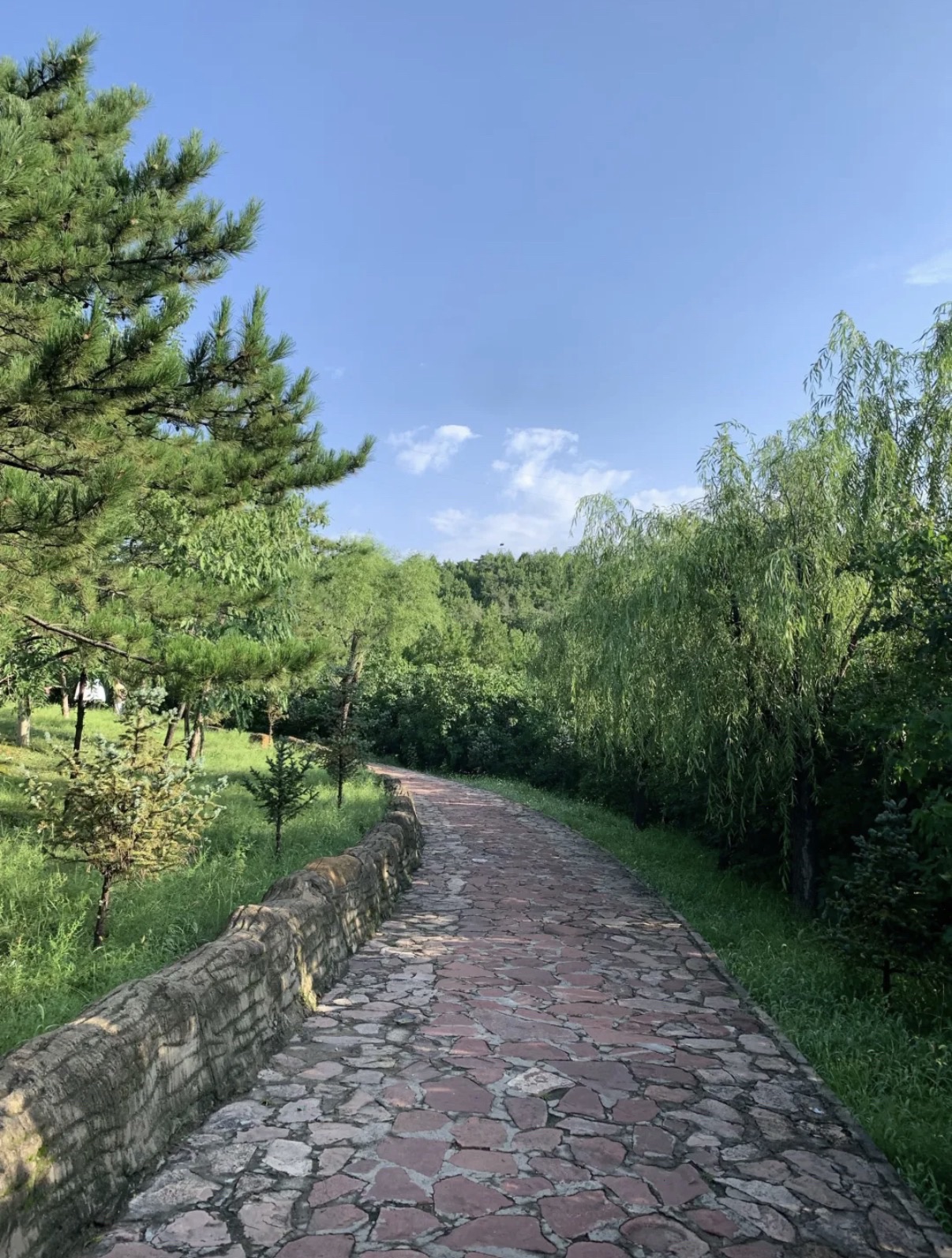 小白山生态公园