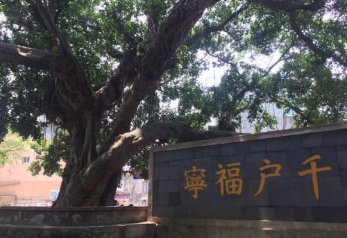 大京城堡旅行图片 1