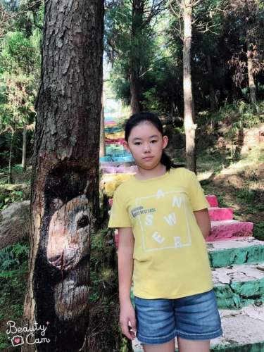 晋江源头东溪湿地森林公园旅行图片 1