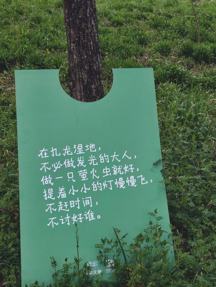 九龙国家湿地公园景点图片