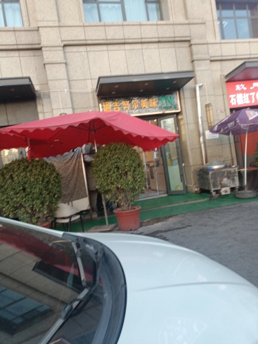 通吉努尔美味