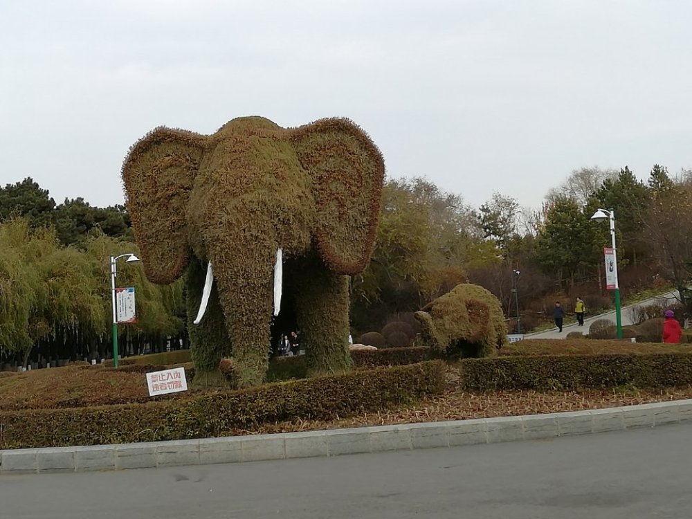 长春市动植物公园景点图片