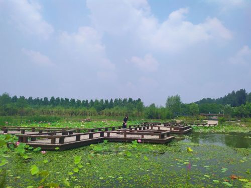平舆县植物园旅行图片 2