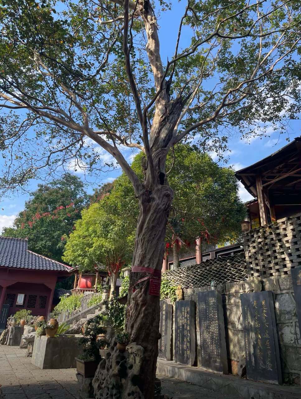 禹门寺实景照片