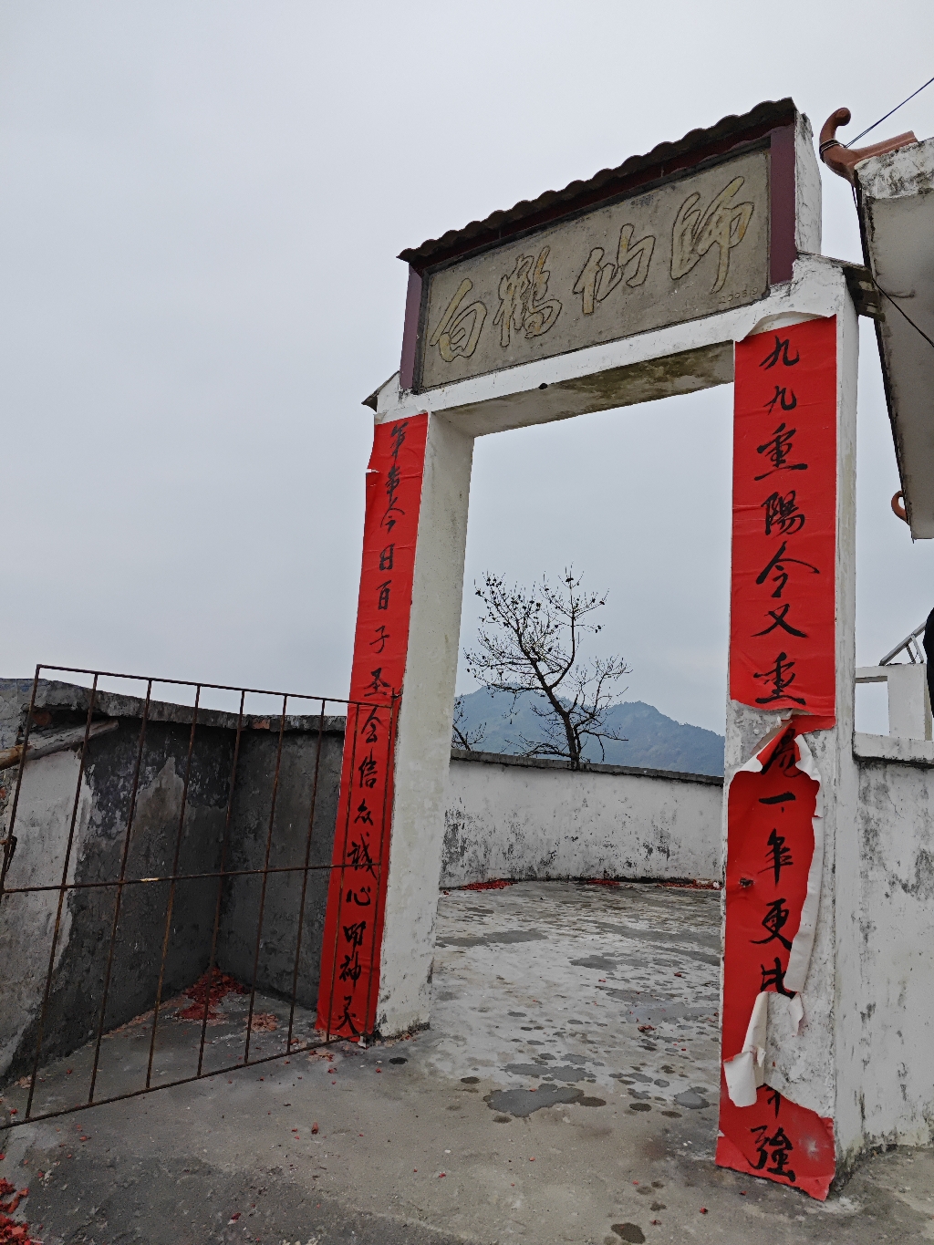 白鹤仙师实景照片