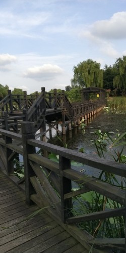 葫芦岛芙蓉生态园旅行图片 3