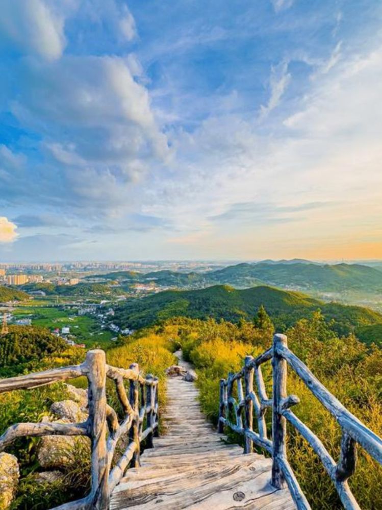 九郎山森林公园景点图片