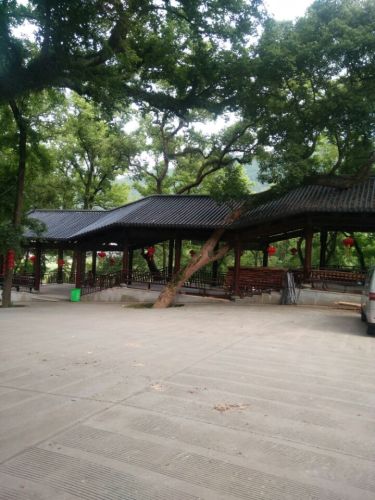 江厦森林公园旅行图片 3