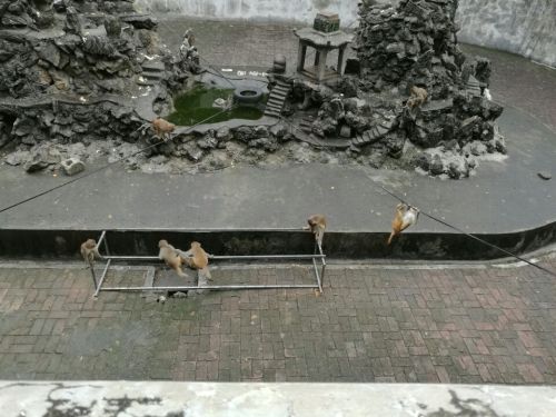 中山公园旅行图片 3