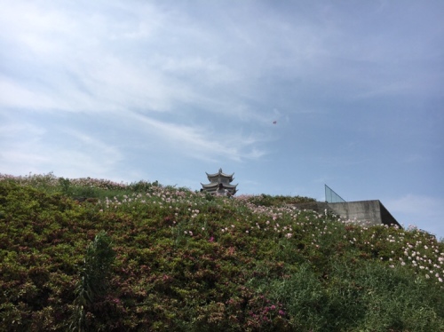 田螺山旅行图片 1