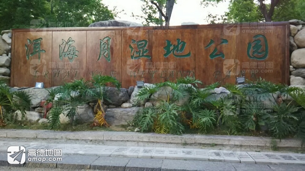 洱海月湿地公园景点图片