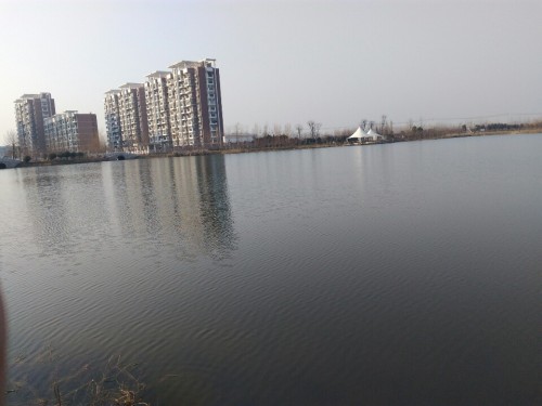 许慎文化公园旅行图片 3